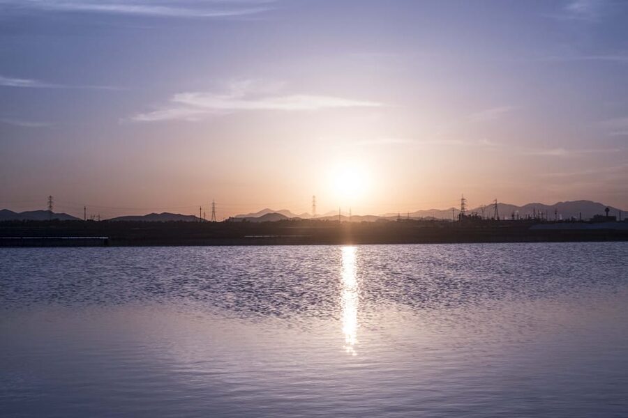 Cagliari: Conti Vecchi Salt Flats Train and Tour - Santa Gilla Basin by train: spotting flamingos without rushing