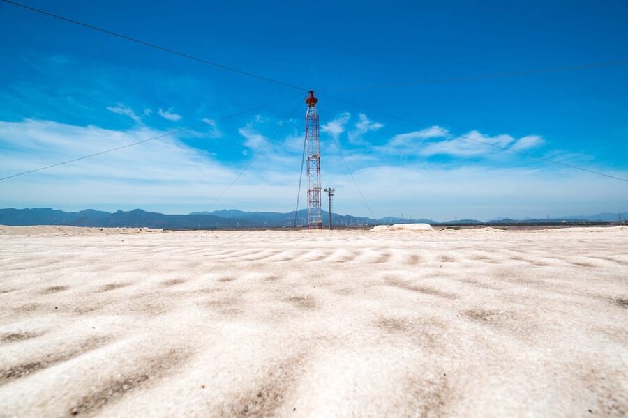 Cagliari: Conti Vecchi Salt Flats Train and Tour - Pink flamingos: what to watch for and how to time your photos