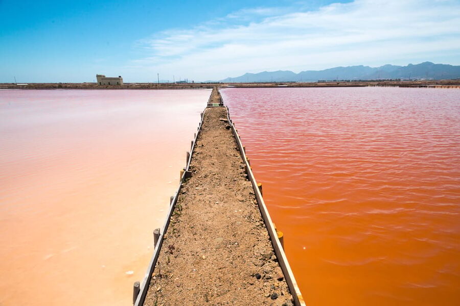 Cagliari: Conti Vecchi Salt Flats Train and Tour - Price and value: how $14 makes sense for what you get