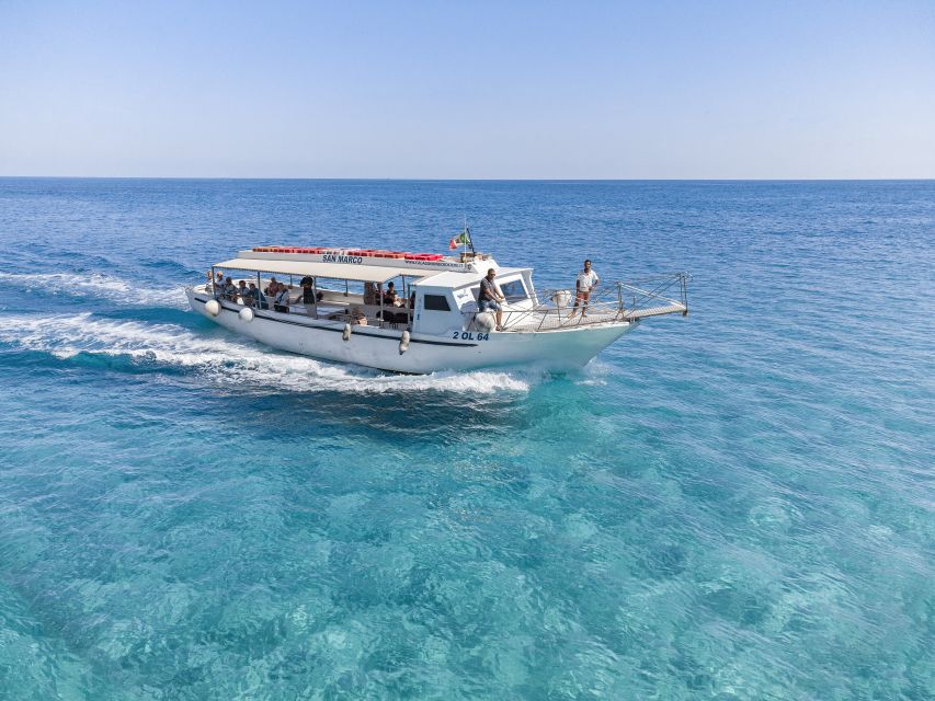 Cala Gonone: Gulf of Orosei Cruise with Food and Swimming - Sardinian Food and Wine on Board: What You Actually Get