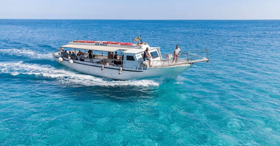 Cala Gonone: Gulf of Orosei Cruise with Food and Swimming - The Boat Setup: Shaded Deck, Ladder Access, and Space