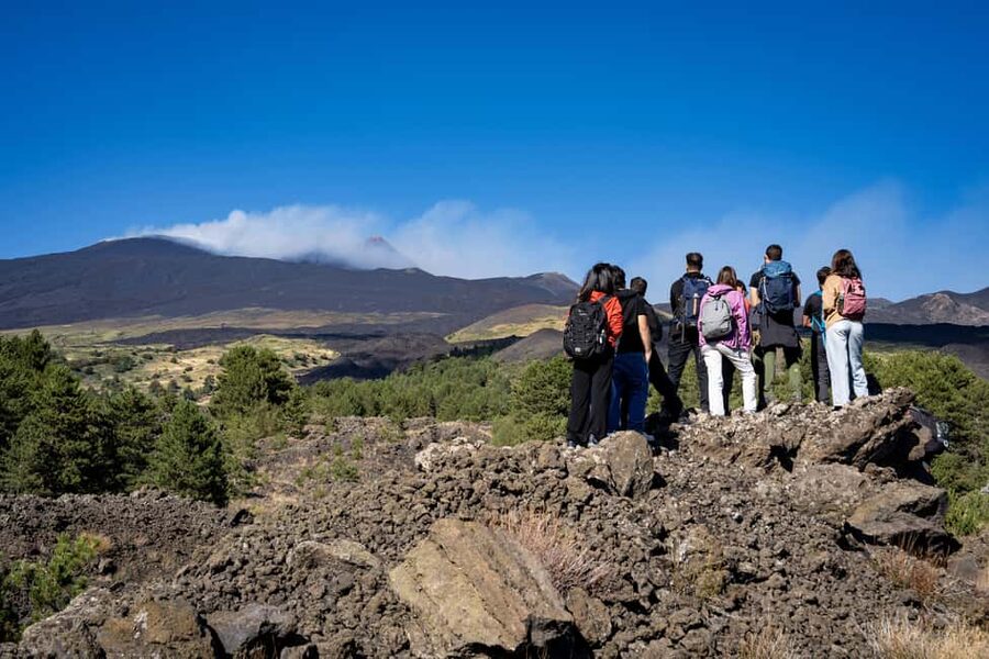 Catania: Amazing Etna Morning Tour with Pickup and Drop-Off - How Hard Is It, Really? Easy Hike, Real Volcanic Ground