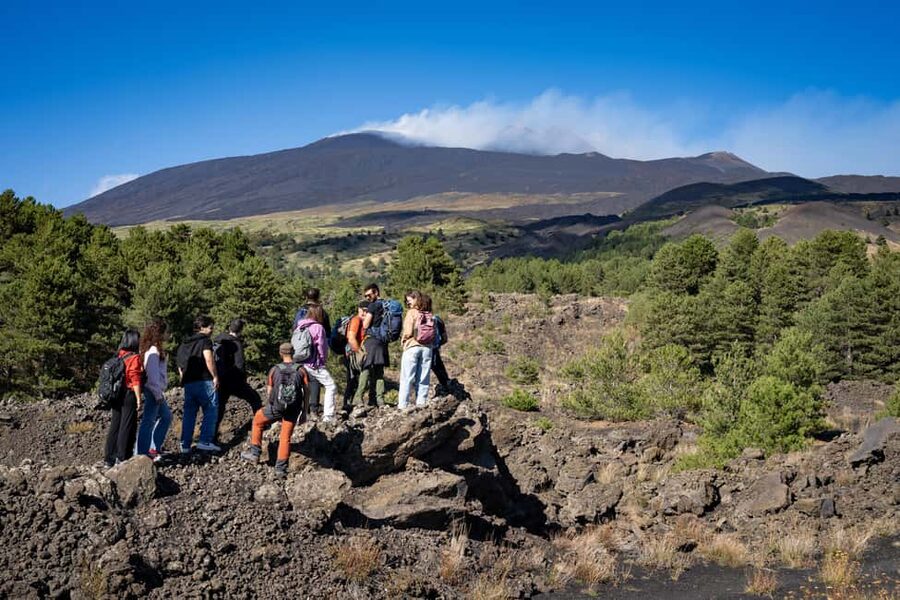 Catania: Amazing Etna Morning Tour with Pickup and Drop-Off - Etna Pickup From Catania, Without the Big-Bus Feel