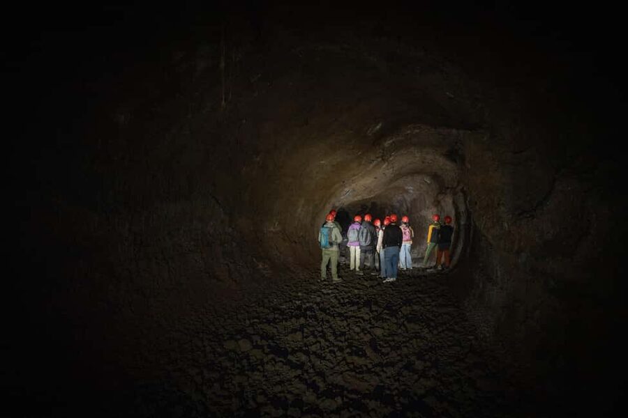 Catania: Amazing Etna Morning Tour with Pickup and Drop-Off - Walking Ancient Lava Flows: What the Terrain Teaches You