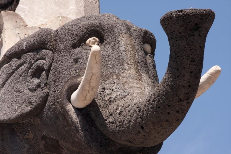Catania: City Highlights Walking Tour - Meet at Via Erasmo Merletta, 3, then get your bearings fast