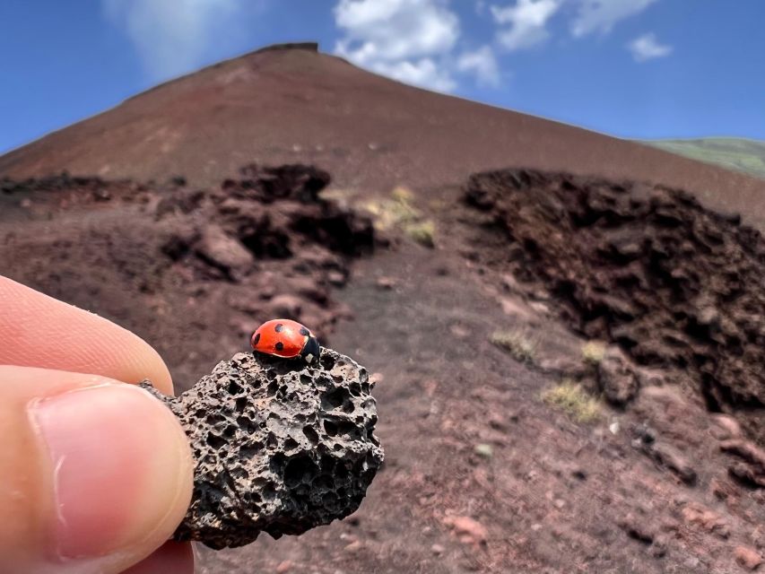 Catania: Etna Morning Excursion with Tasting and Pickup - Who This Tour Suits Best (And Who Might Want to Skip)