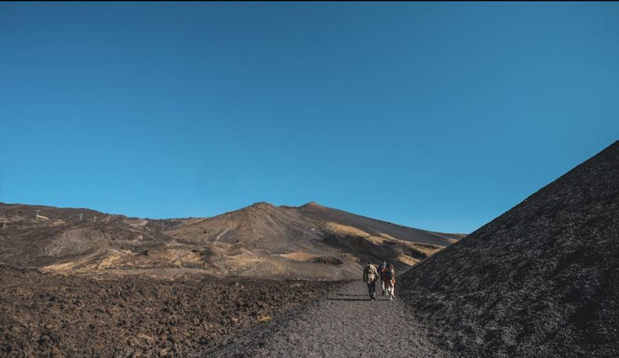 Catania: Etna Morning Excursion with Tasting and Pickup - Morning on Etna from Catania: Why This Tour Works