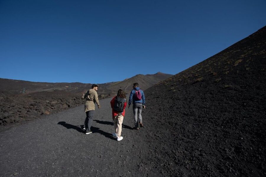 Catania: Etna Morning Excursion with Tasting and Pickup - Bove Valley and the 1991 Lava Stream Stop
