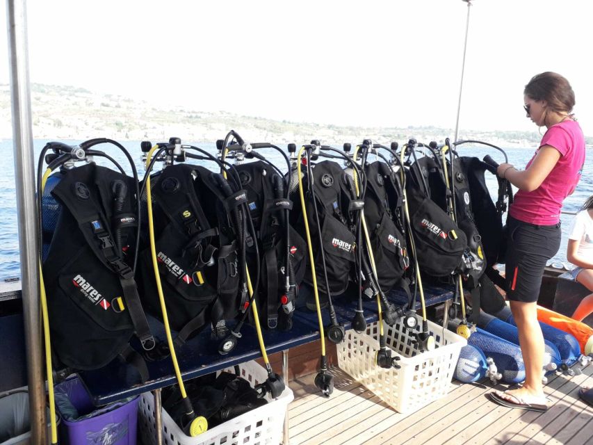 Catania: Gulf Scuba Diving Tour with Marine Biologist - Who should choose this tour, and who might not love it