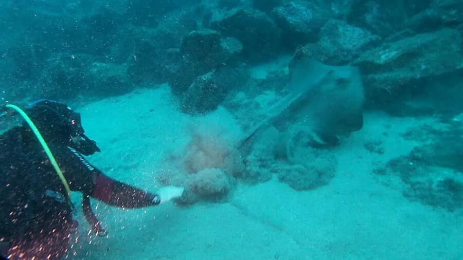 Catania: Gulf Scuba Diving Tour with Marine Biologist - The timing: what 3.5 hours really feels like
