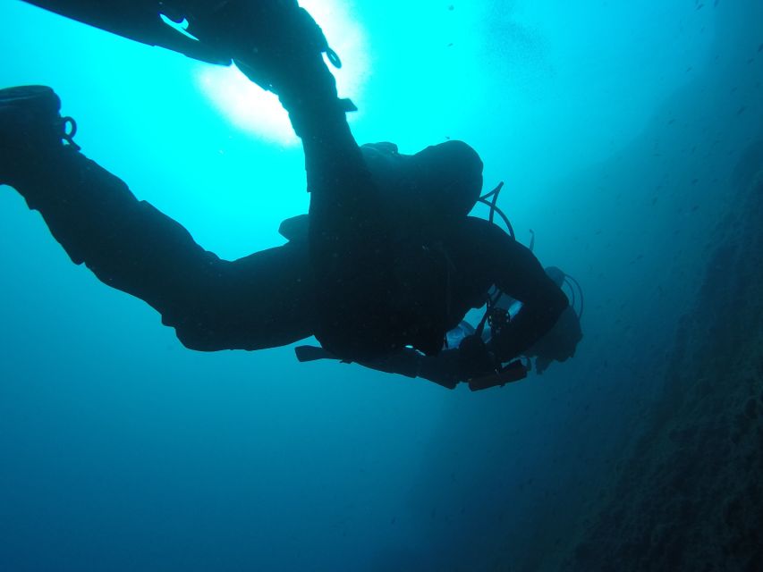 Catania: Gulf Scuba Diving Tour with Marine Biologist - Languages: instruction you can understand without guessing