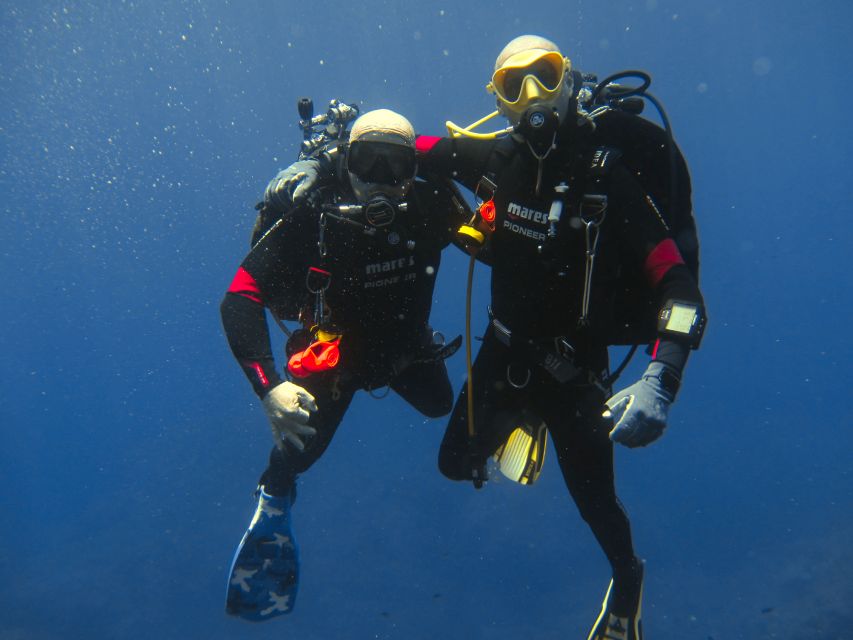 Catania: Gulf Scuba Diving Tour with Marine Biologist - Gulf of Catania lava terrain, where geology meets marine life
