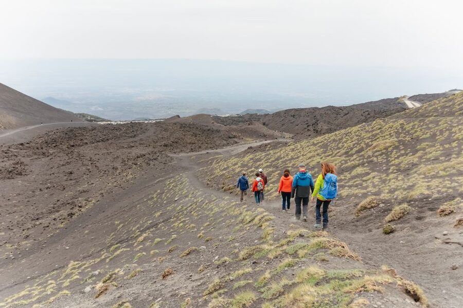 Catania: Mount Etna Morning or Sunset Day Trip with Tasting - Cantucci and Zibibbo: A Small Tasting Stop That Actually Fits the Day