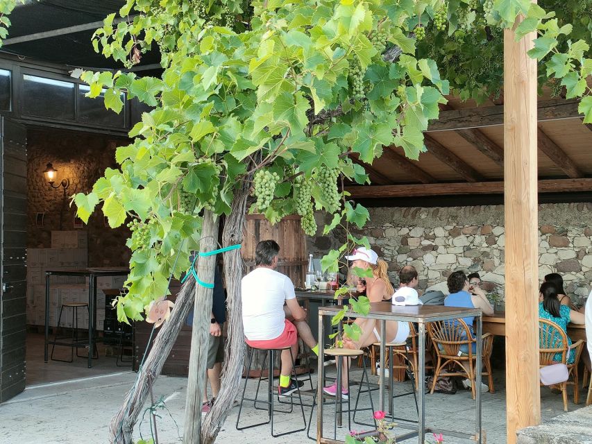 Cavaion: Lake Garda Wine & Food Tasting with Vineyard Tour - Key things to know before you go