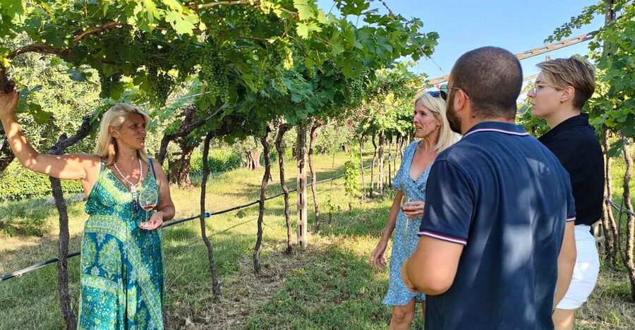 Cavaion: Lake Garda Wine & Food Tasting with Vineyard Tour - Why This Cavaion Tasting Feels More Like Lake Garda Inland