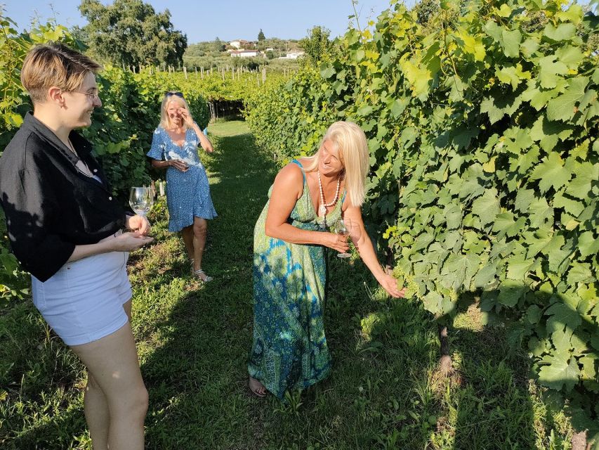 Cavaion: Lake Garda Wine & Food Tasting with Vineyard Tour - Vineyard Walk From The Farm, Under Grapes