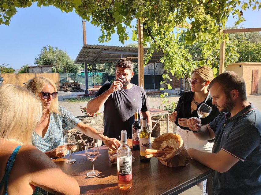 Cavaion: Lake Garda Wine & Food Tasting with Vineyard Tour - The Shop Stop: Olive Oil, Honey, Jams, And Grappa