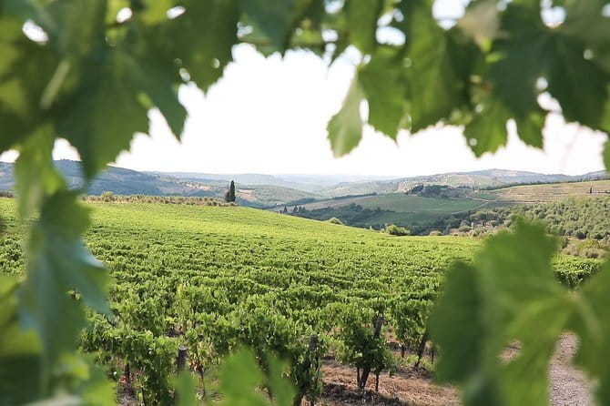 Chianti Wine Tour from Florence - The return to Florence: Chianti Road as a scenic finale