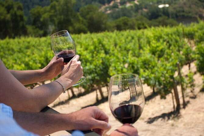 Chianti Wine Tour from Florence - Group size, language flow, and why the first stop can feel loud
