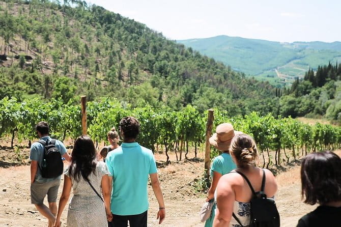 Chianti Wine Tour from Florence - Meeting at Piazzale Montelungo, then leaving the city for good