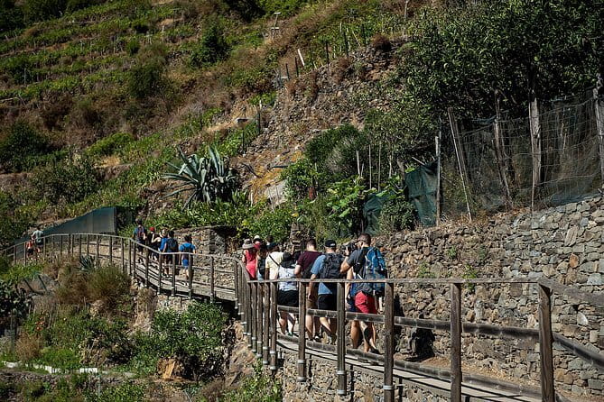 Cinque Terre Day Trip with Optional Hiking or Pisa - Manarola and Corniglia: where the day’s best views start early