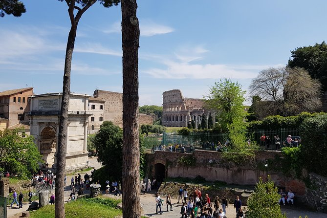 Colosseum Arena Floor, Roman Forum and Palatine Hill Guided Tour - Should You Book This Colosseum Arena Floor and Forum Palatine Hill Tour?