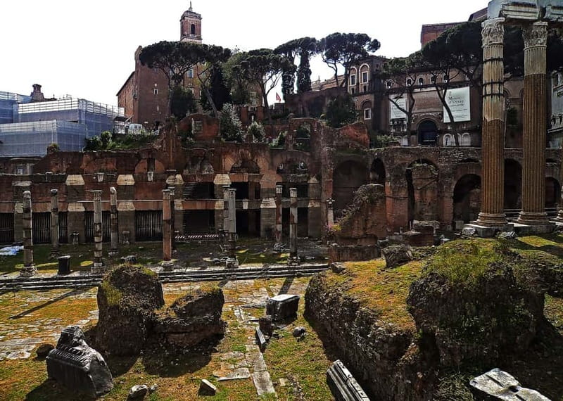 Colosseum, Forum & Palatine Hill Guided Walking tour - Small-group pacing, English hosting, and comfort tips that matter