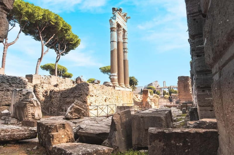 Colosseum, Roman Forum & Palatine Hill Entry and Audioguide - Palatine Hill and the panoramic views you climb for