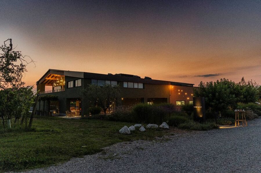 Desenzano: Lugana Wine-Tasting and Vineyard Tour - Why this Lugana tour feels worth your time