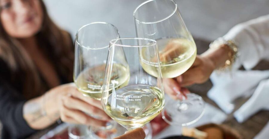 Desenzano: Lugana Wine-Tasting and Vineyard Tour - Price and value: what $59 gets you in real experience time