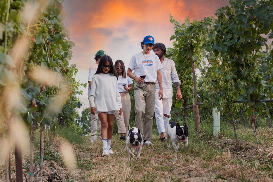 Desenzano: Lugana Wine-Tasting and Vineyard Tour - The first stop: a family winery near Lake Garda’s Lugana zone