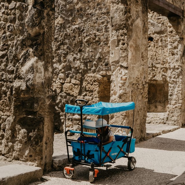 Discover Pompeii: French Walking Tour of the Buried City - Two Hours in Pompeii, Starting at 10:30
