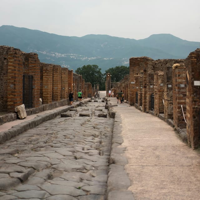 Discover Pompeii: French Walking Tour of the Buried City - Walking Pompeii With a French Storyteller Guide