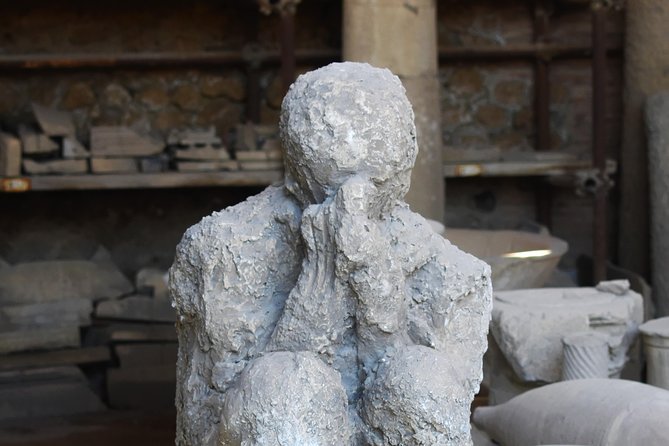 Discover the Ancient Ruins of Pompeii: Day Trip from Rome - Lunch in Pompeii: included, but plan around timing
