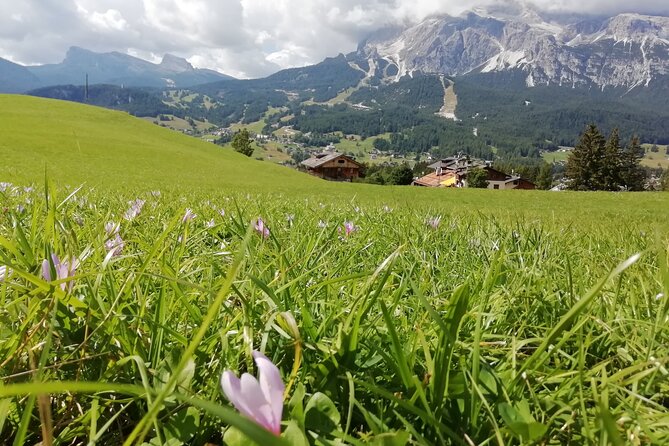 Discover the Dolomites, Cortina and Lake Braies from Venice - Lago di Misurina: quick stop, big views of Tre Cime vibes