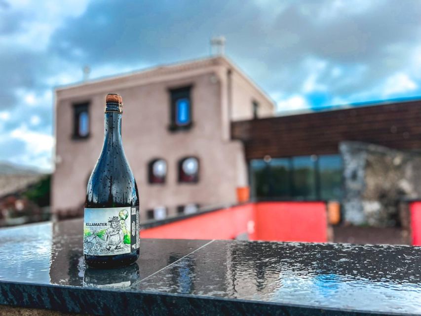 Etna: Wine Tasting and Food Tour - Value check: does $129.14 make sense for a 7-hour day?