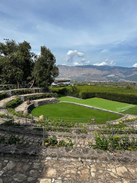 Etna: Wine Tasting and Food Tour - Who should book this tour, and who might want something else