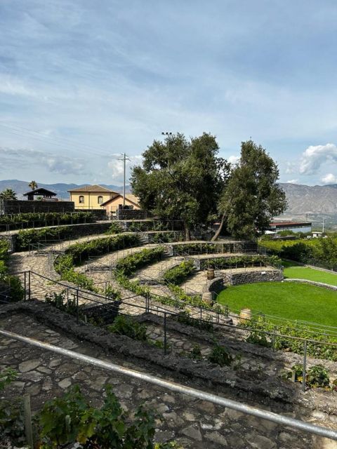 Etna: Wine Tasting and Food Tour - Practical tips to make your day smoother