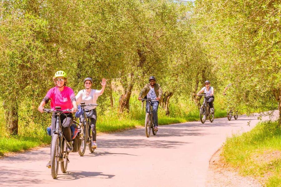 Florence: Chianti E-Bike Tour with Lunch & Two Wine Tastings - Should you book it? My quick decision guide