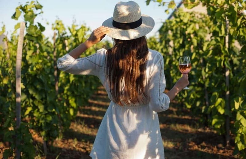 Florence: Chianti Vineyards Tour with Wine Tasting & Dinner - Key Points Before You Go