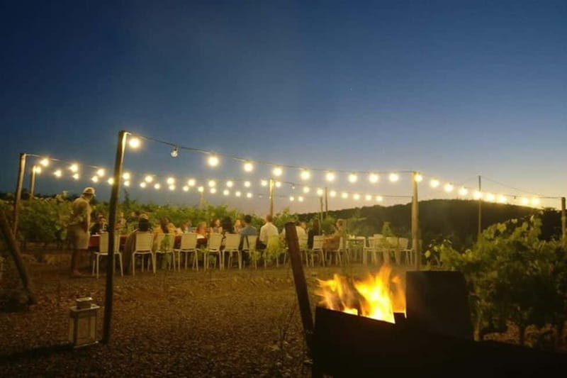 Florence: Chianti Vineyards Tour with Wine Tasting & Dinner - How to Get the Most Out of Your 8 Hours