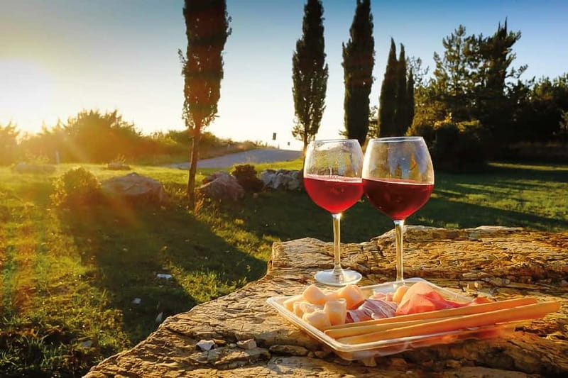 Florence: Chianti Vineyards Tour with Wine Tasting & Dinner - Winery Tastings at the Estate: What You Really Learn and Taste