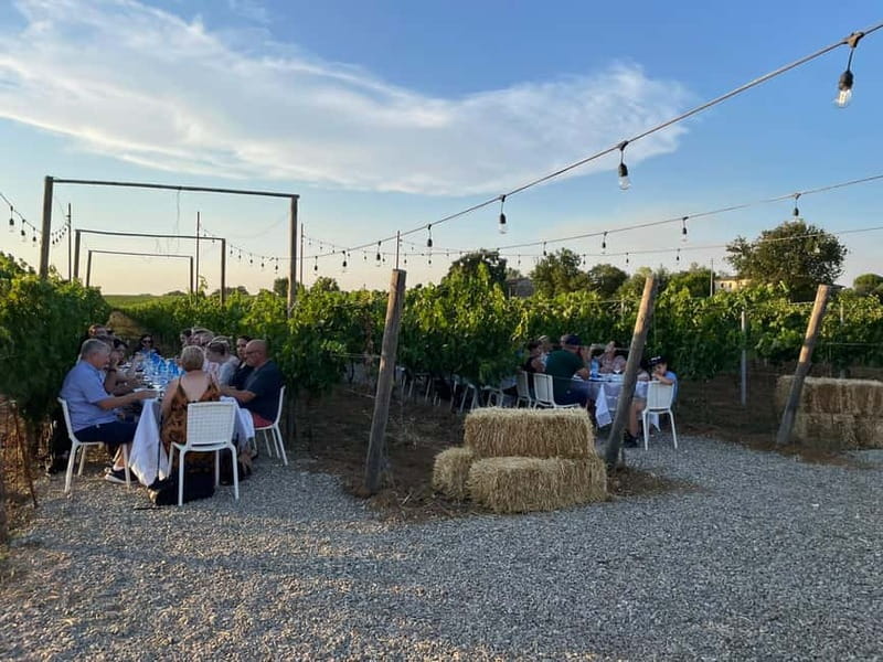 Florence: Chianti Vineyards Tour with Wine Tasting & Dinner - Sunset Dinner in the Vineyards: Candles, Torches, and Real Tuscan Plates