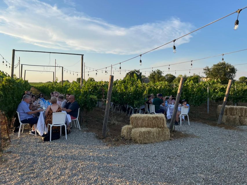 Florence: Chianti Vineyards Tour with Wine Tasting & Dinner - Vegetarian, Celiac, and Other Food Reality Checks