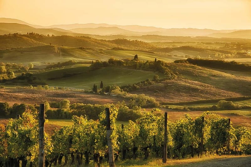 Florence: Chianti Vineyards Tour with Wine Tasting & Dinner - Group Size, Languages, and the Guide Experience
