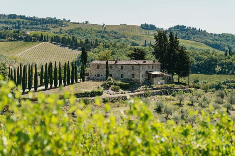 Florence: Chianti Wineries Tour with Wine Tasting - Key takeaways before you go