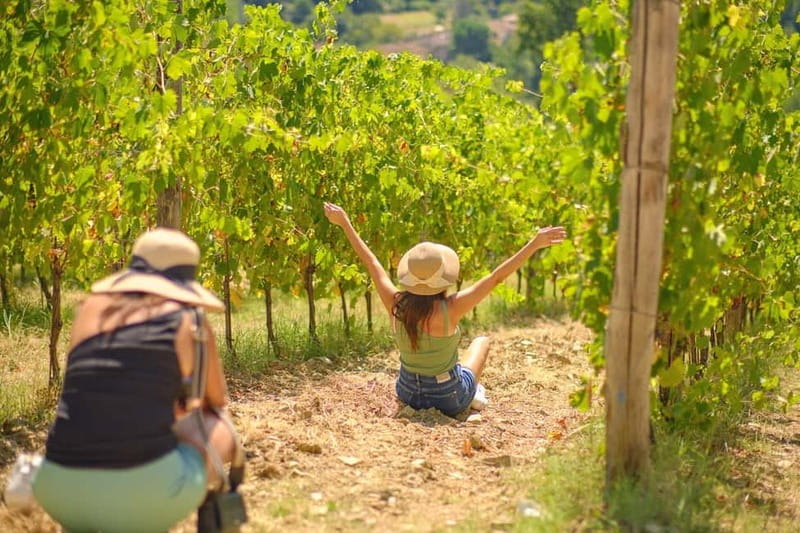 Florence: Chianti Wineries Tour with Wine Tasting - Second winery: vineyard walk, weather talk, and up to three more pours