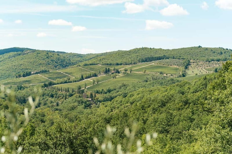 Florence: Chianti Wineries Tour with Wine Tasting - What you taste in Chianti, and how to make it click