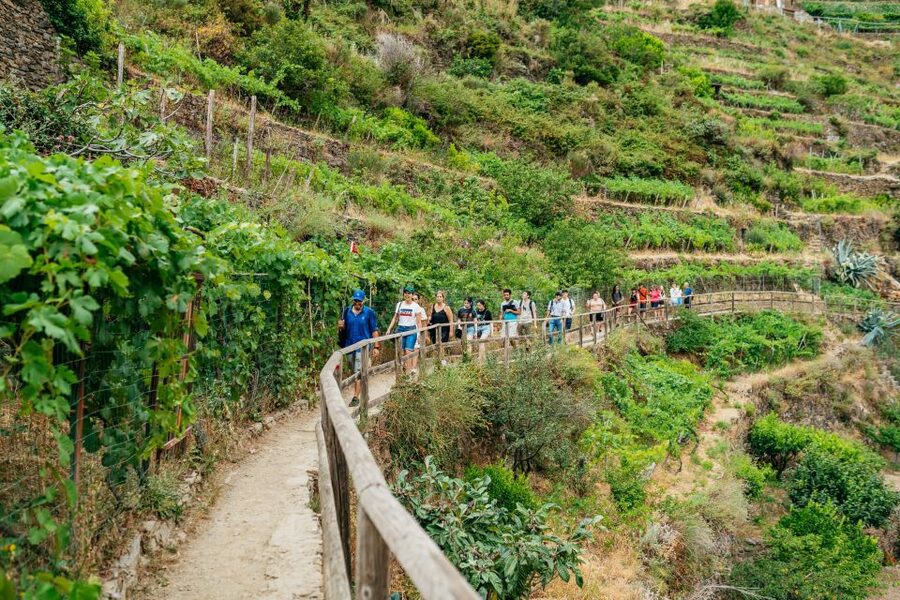 Florence: Cinque Terre Day Trip with Optional Hike - Key things that make this tour worth your day