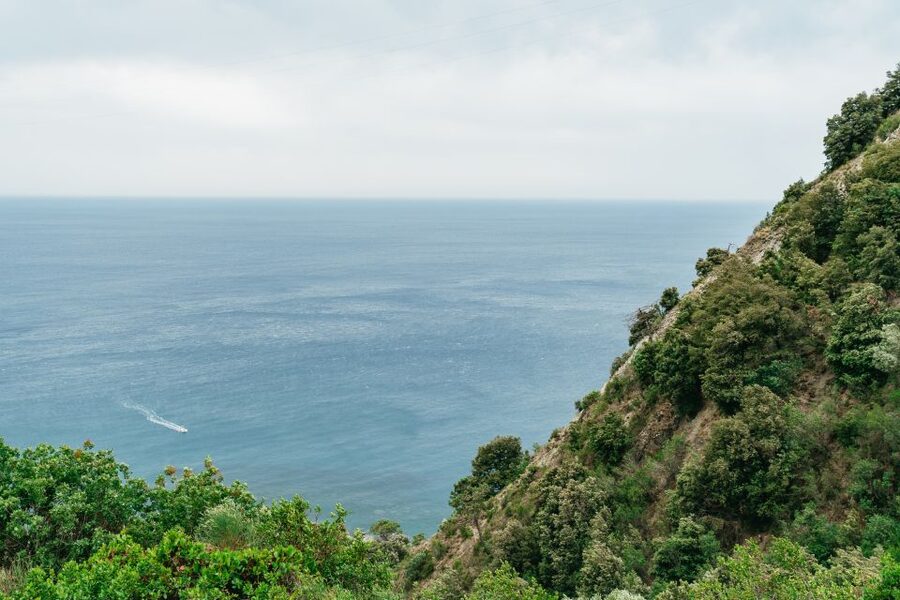 Florence: Cinque Terre Day Trip with Optional Hike - Boat ride along the coast: when it runs, it is worth timing your day around